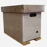 nucleo carton beenuk